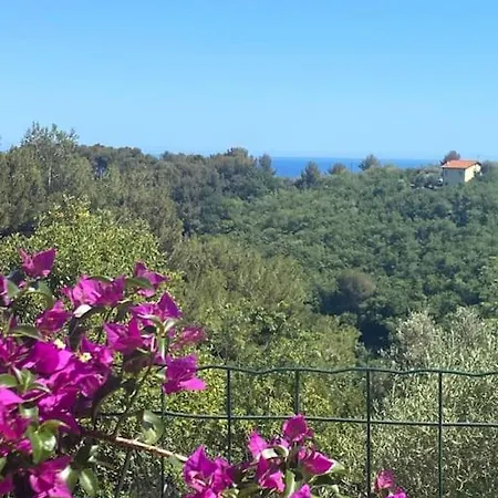 Charming With Swimming Pool Near *